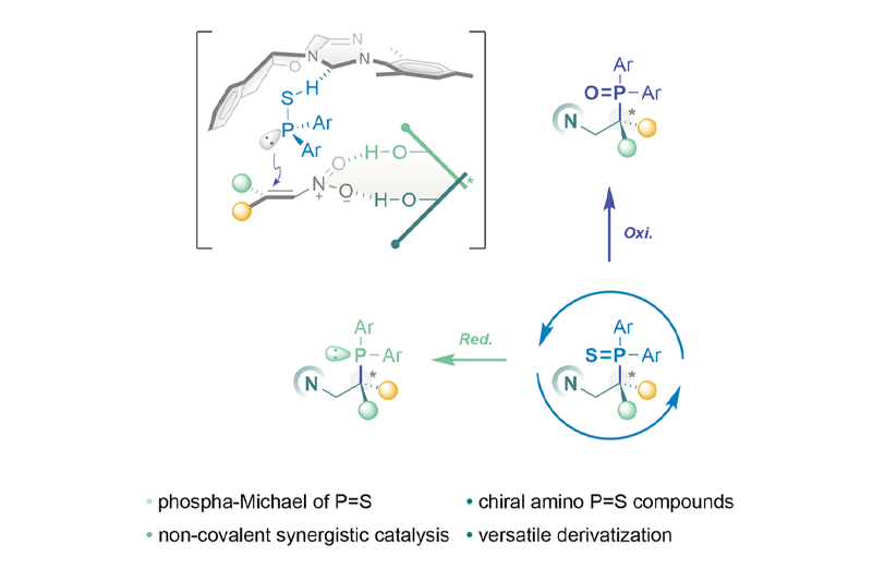 2021-CRPS-Synthesis of α-Chiral Phosphine Sulfides