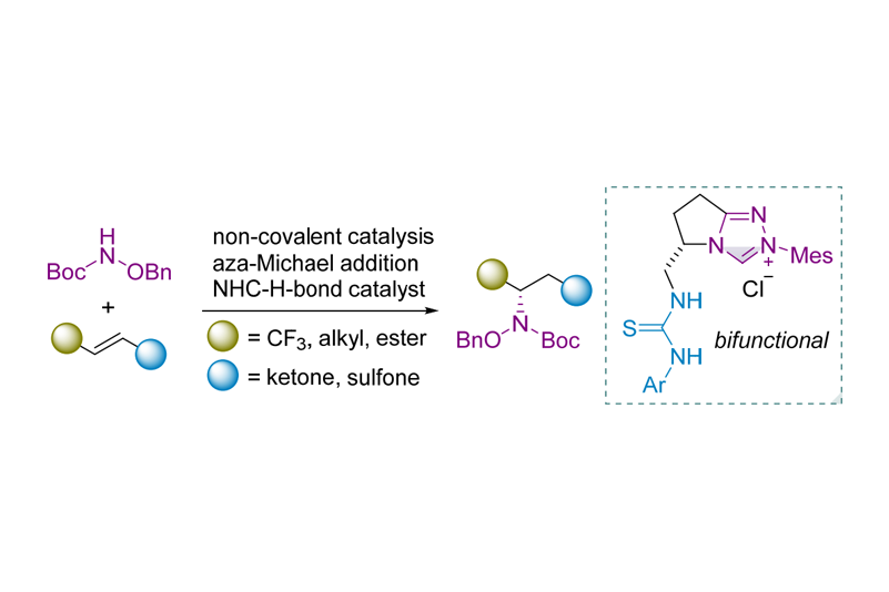 2021-ACS Catal-A Bifunctional N‑Heterocyclic Carbene