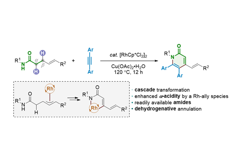 2019-APCS-Dehydrogenative Annulation of γ,δ-Unsaturated Amides and Alkynes