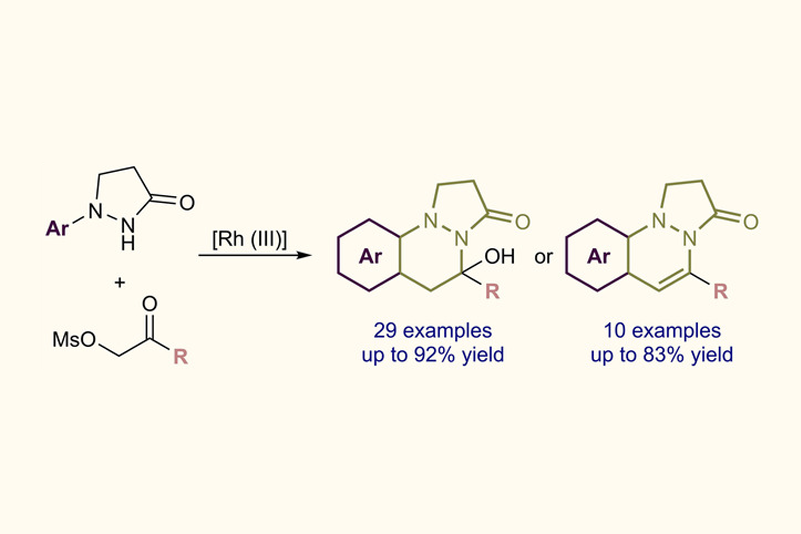 2017-ASC-Construction of Pyridazine Analogues