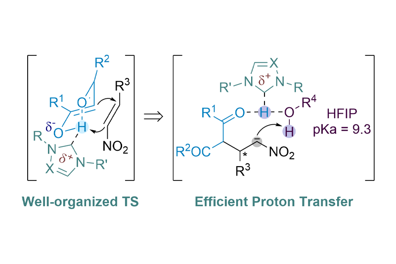 2014-N Commun-N-heterocyclic Carbenes as Non-covalent Chiral Templates