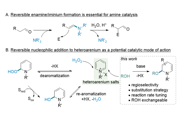 2023-Synlett-Addition of Alcohols onto Heteroarenium Salts