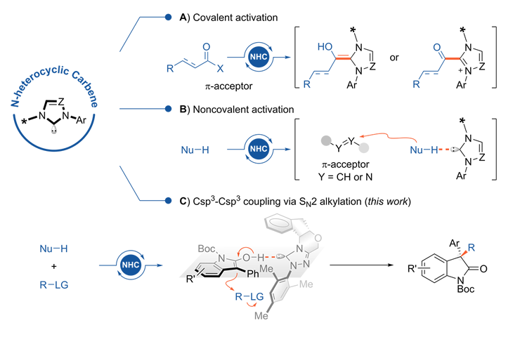 2024-Org Lett-SN2 Alkylation via Non-covalent Activation