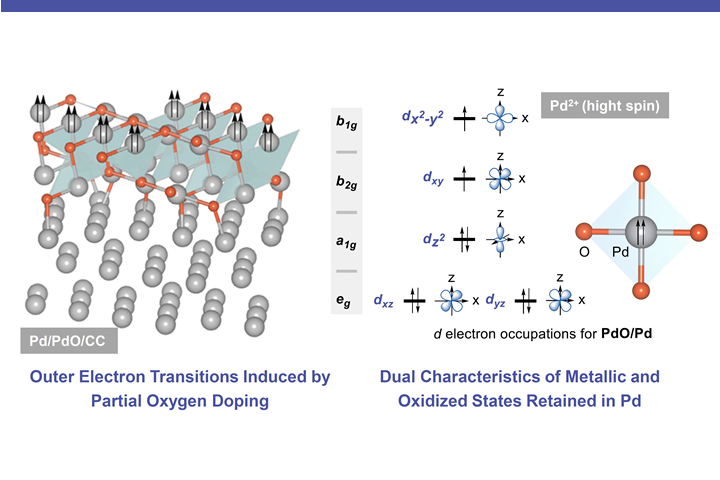 2025-Adv Energy Sustainability Res-Partially Oxidized Pd/PdO/CC Catalyst